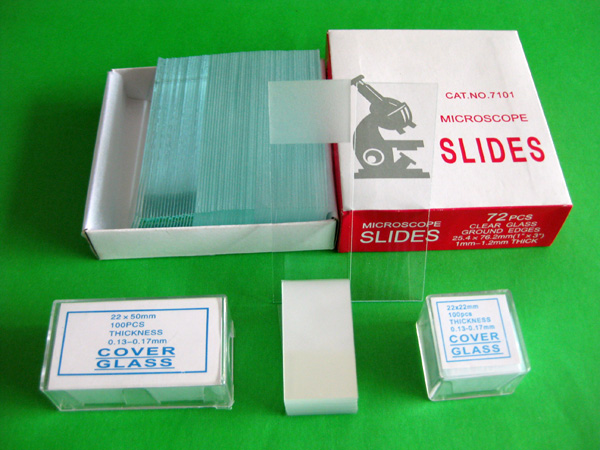 D26-Microscope Slide