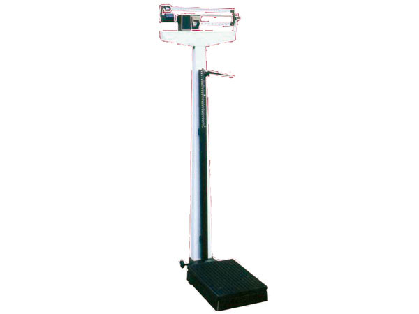 E24-Adult Scale-2