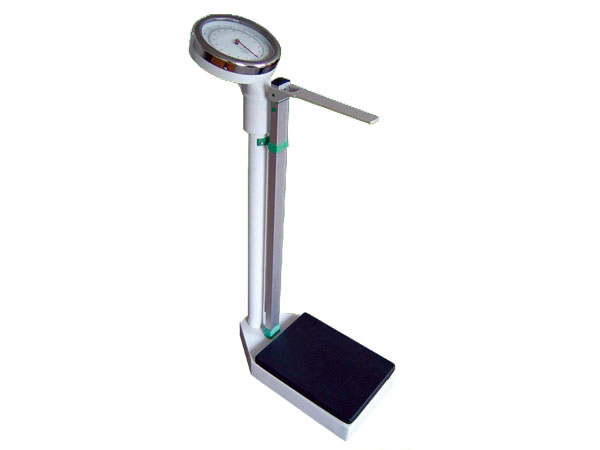 E23-Adult Scale-1