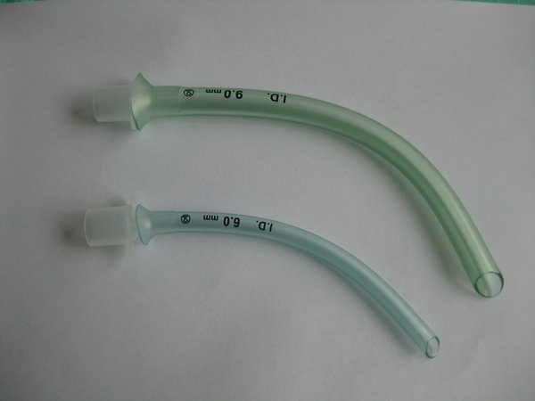 C30-Nasopharyngeal A