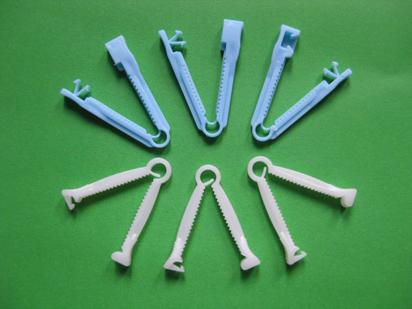 C10-Umbilical Cord C