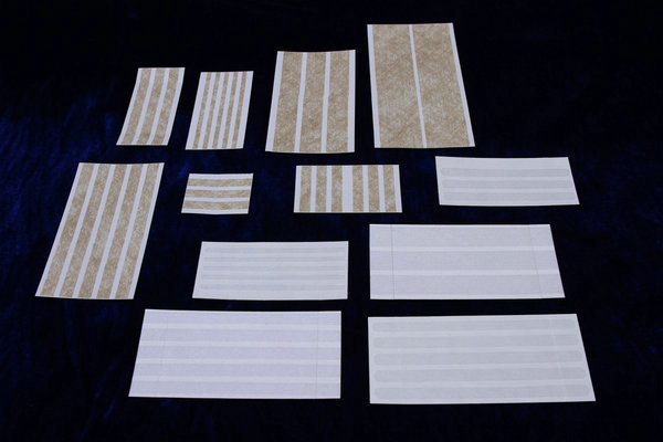 A55-Wound Skin Closu